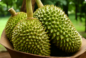 Seamless Aerodynamic Wiper