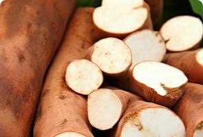 Universal Multi-function Wiper