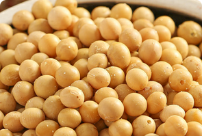 Magnetic Repair Work Light